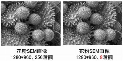 OK量子化理論